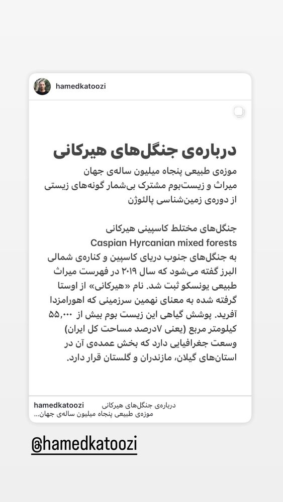  جدید ترین استوری اینستاگرام عسل بانو کلاکی