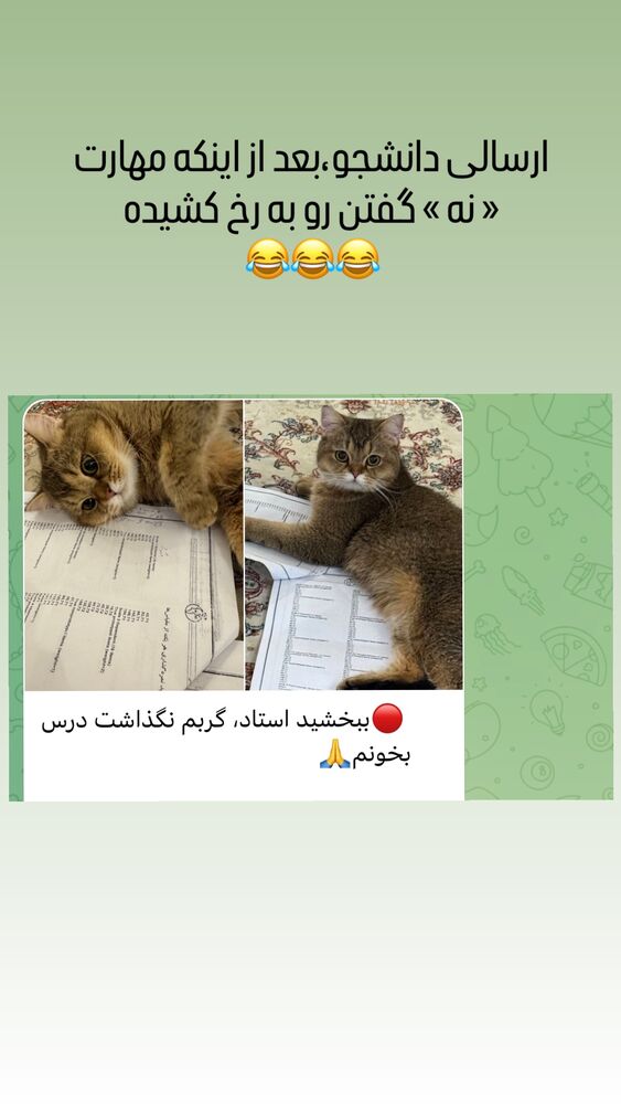  جدید ترین استوری اینستاگرام عسل بانو کلاکی