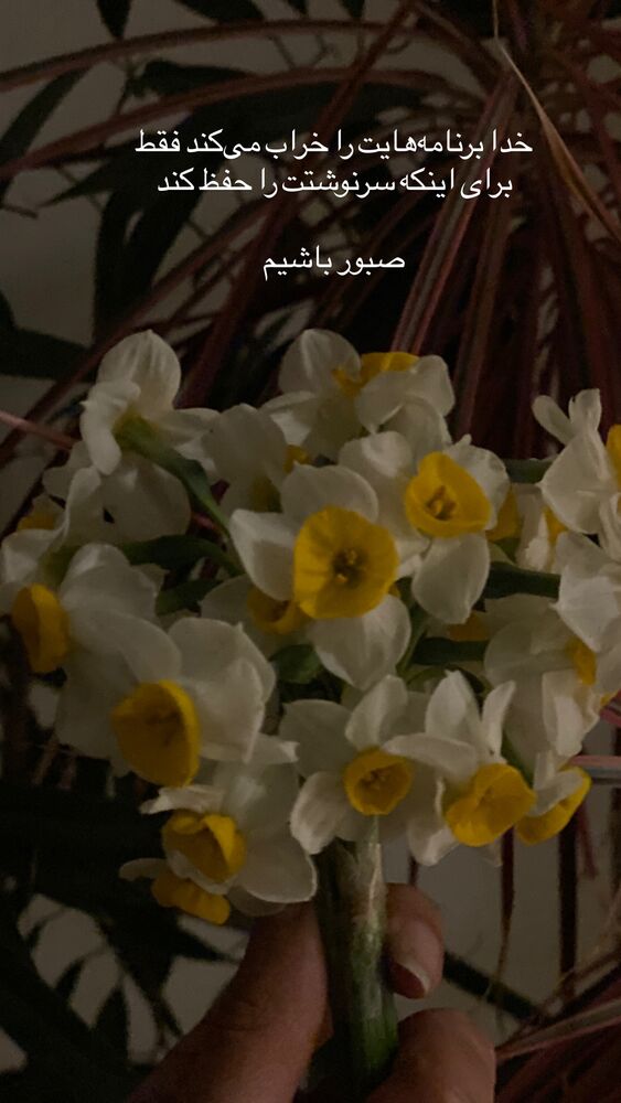  جدید ترین استوری اینستاگرام عسل بانو کلاکی