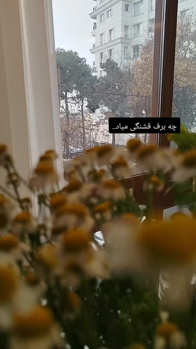  جدید ترین استوری اینستاگرام عسل خرسندیان