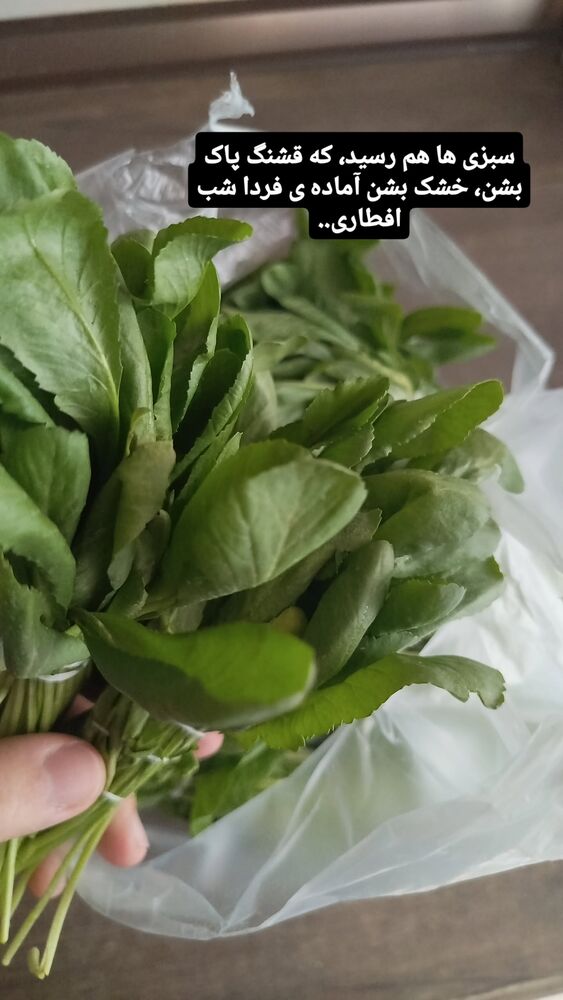  جدید ترین استوری اینستاگرام عسل خرسندیان