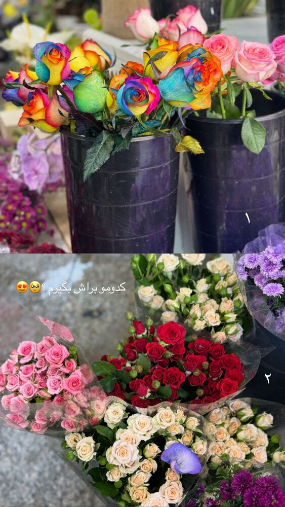  جدید ترین استوری اینستاگرام عسل و محمد