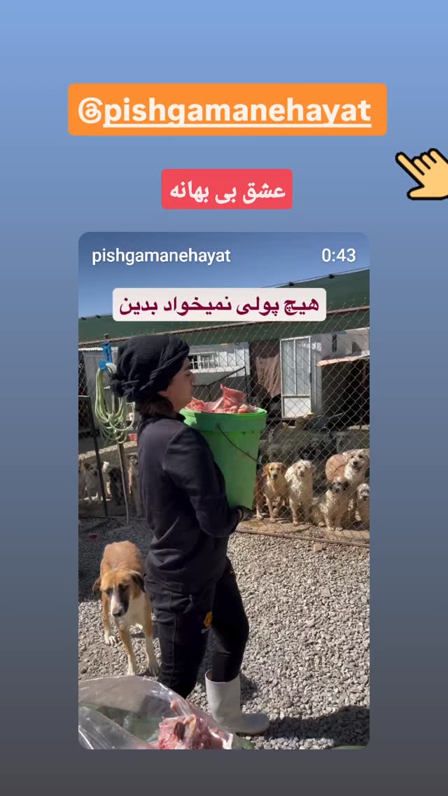  جدید ترین استوری اینستاگرام آشا مهرابی
