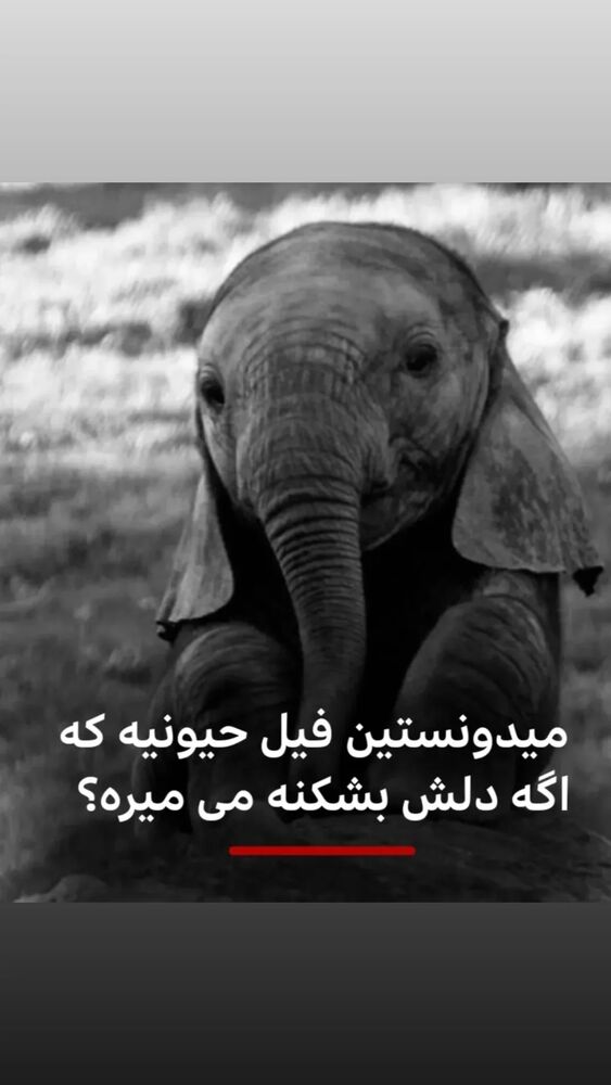  جدید ترین استوری اینستاگرام آشا مهرابی