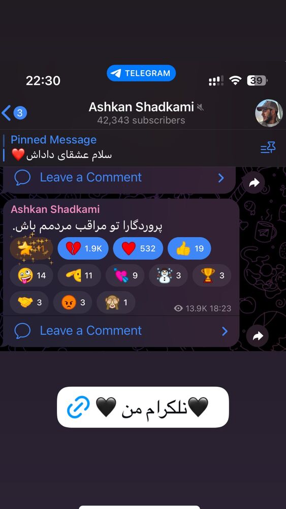  جدید ترین استوری اینستاگرام اشکان شادکامی