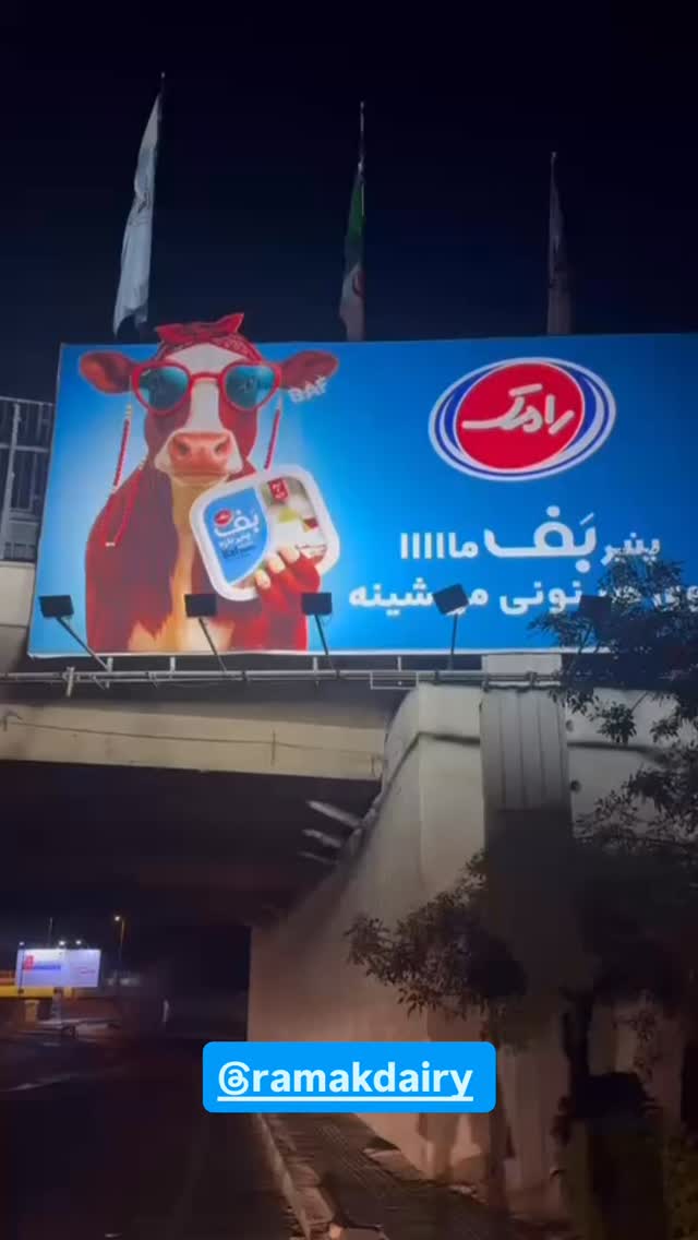  جدید ترین استوری اینستاگرام اشکان شادکامی