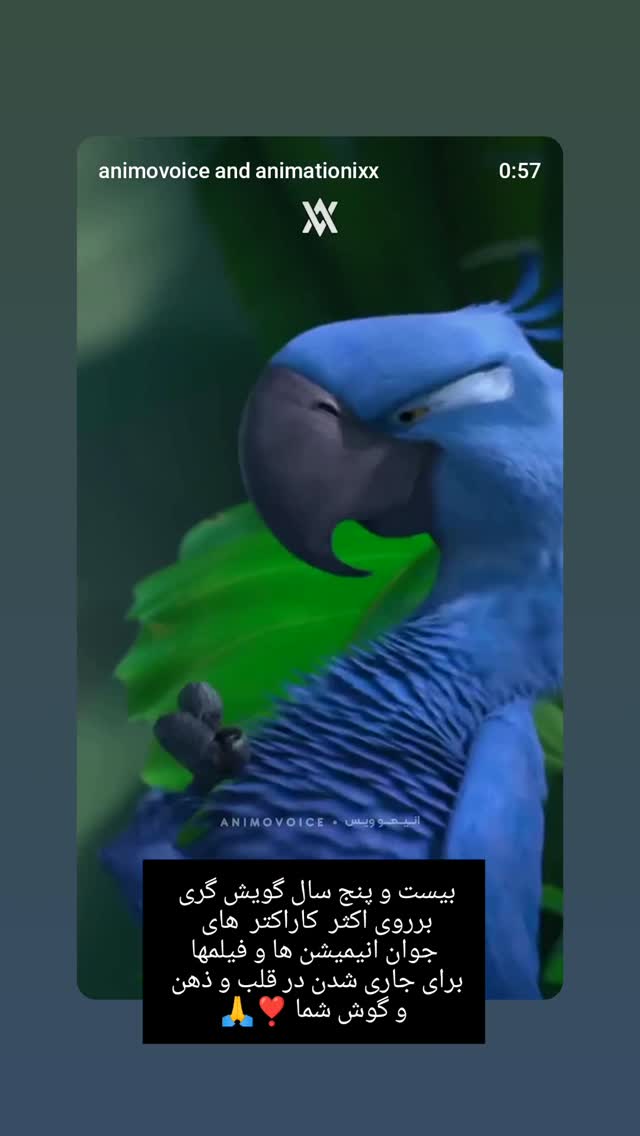  جدید ترین استوری اینستاگرام اشکان صادقی