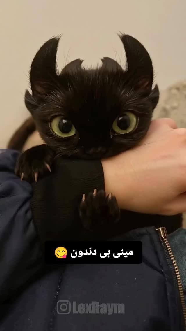  جدید ترین استوری اینستاگرام اشکان صادقی