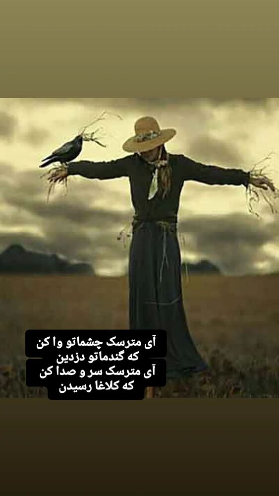  جدید ترین استوری اینستاگرام اشکان صادقی