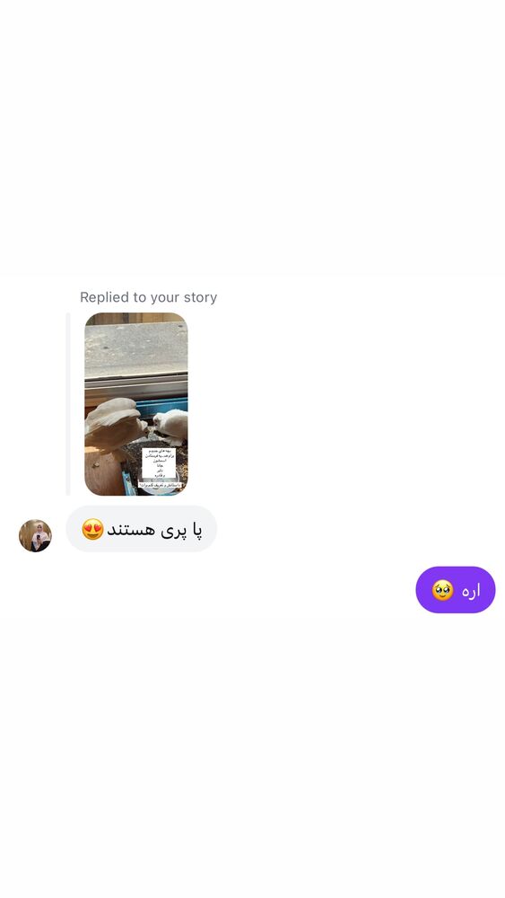  جدید ترین استوری اینستاگرام پریسا آشتیانی