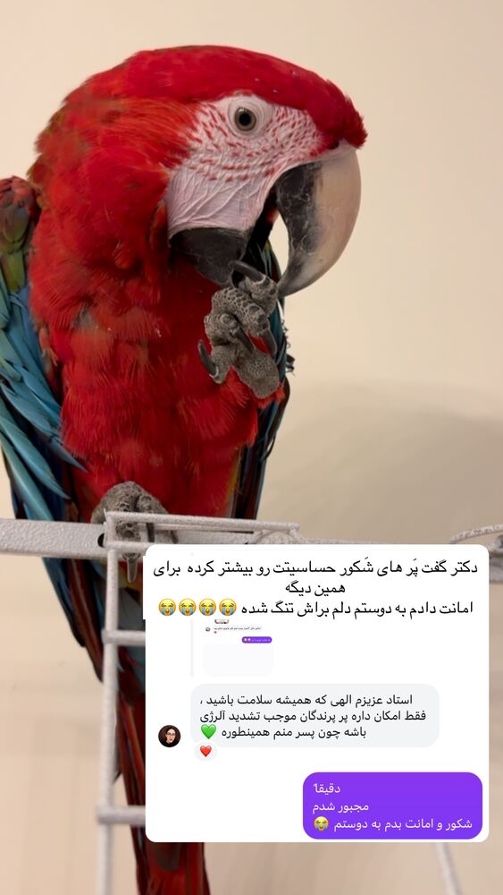  جدید ترین استوری اینستاگرام پریسا آشتیانی