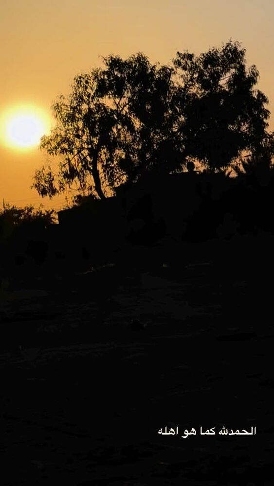  جدید ترین استوری اینستاگرام پریسا آشتیانی