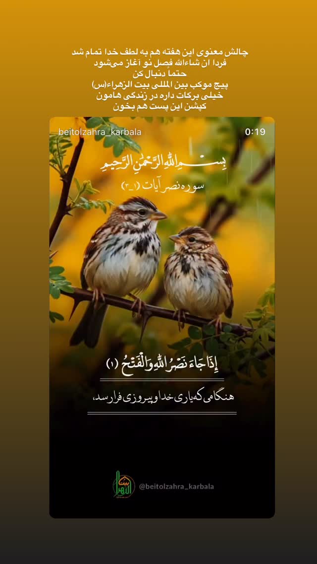 جدید ترین استوری اینستاگرام پریسا آشتیانی