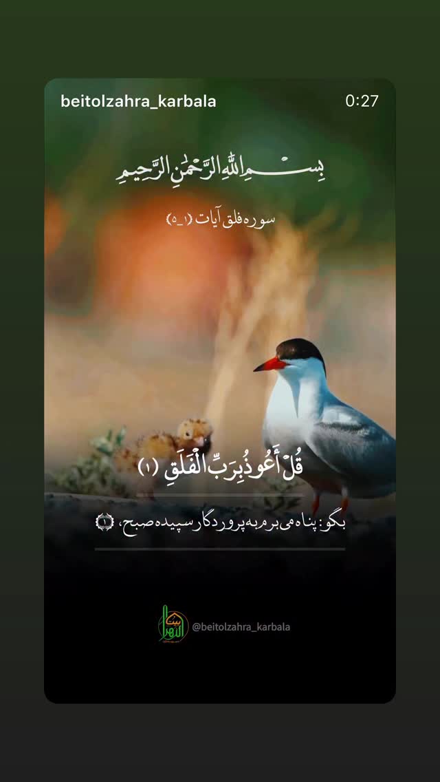 جدید ترین استوری اینستاگرام پریسا آشتیانی