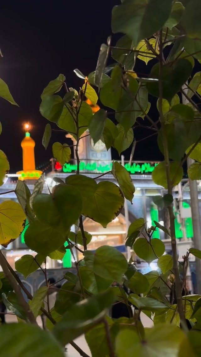  جدید ترین استوری اینستاگرام پریسا آشتیانی