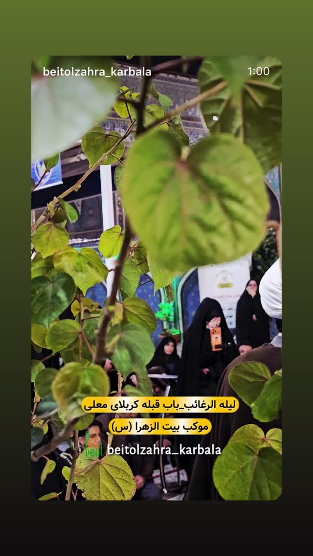  جدید ترین استوری اینستاگرام پریسا آشتیانی