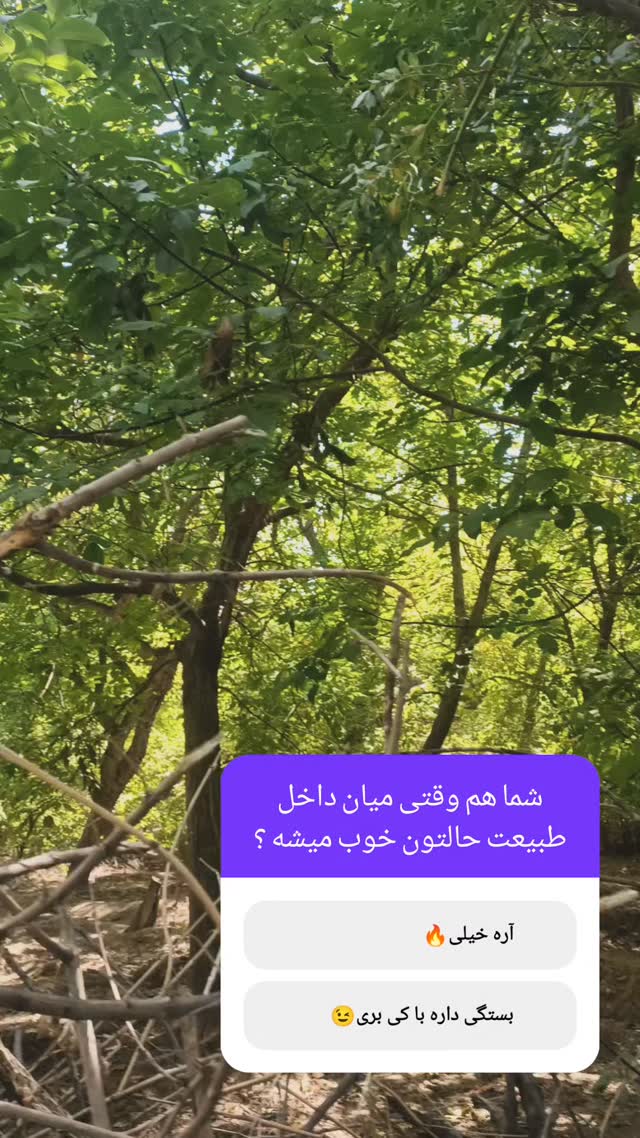  جدید ترین استوری اینستاگرام اصلان رادان
