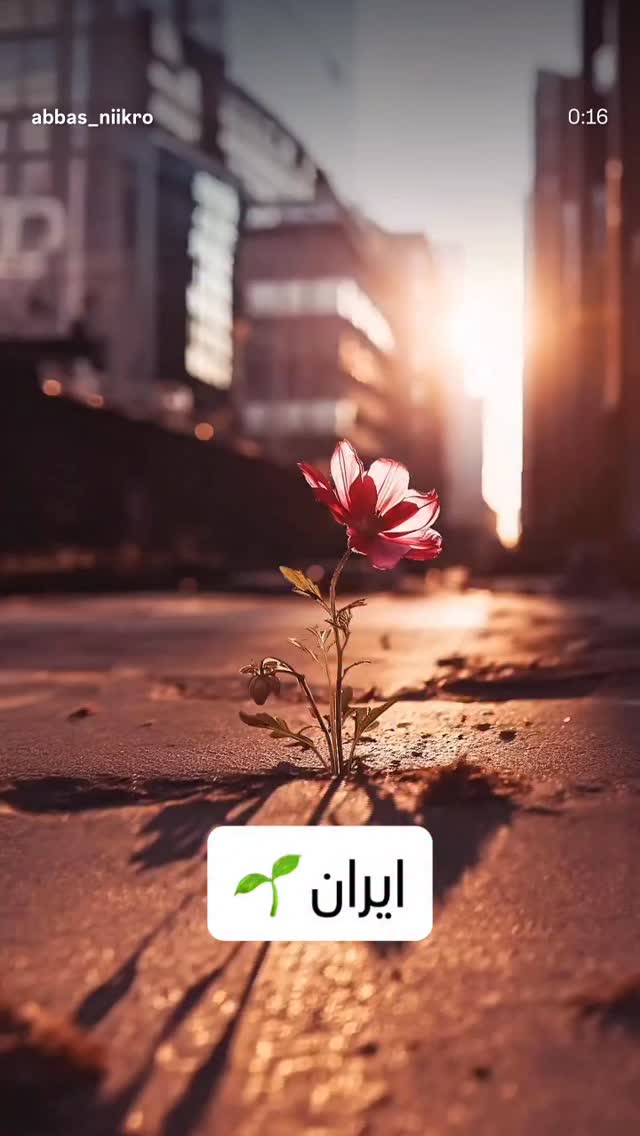  جدید ترین استوری اینستاگرام اصلان رادان