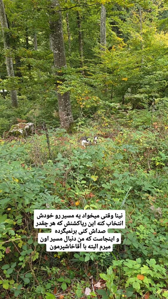  جدید ترین استوری اینستاگرام آسوده ایمر
