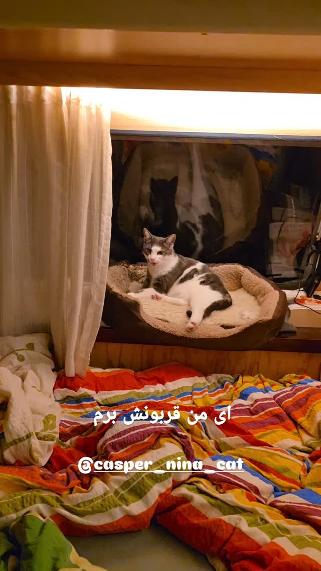  جدید ترین استوری اینستاگرام آسوده ایمر