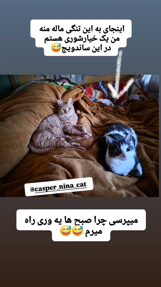  جدید ترین استوری اینستاگرام آسوده ایمر