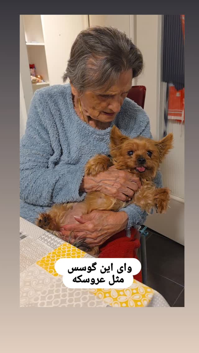  جدید ترین استوری اینستاگرام آسوده ایمر