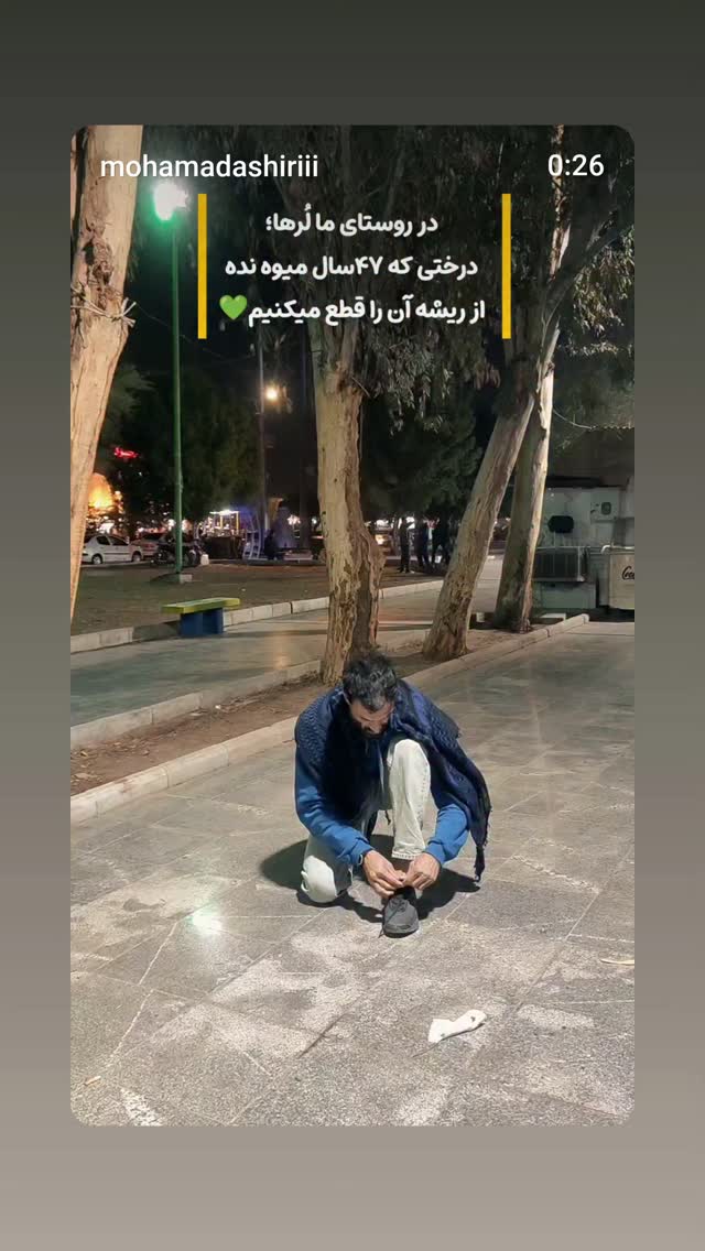  جدید ترین استوری اینستاگرام آسوده ایمر