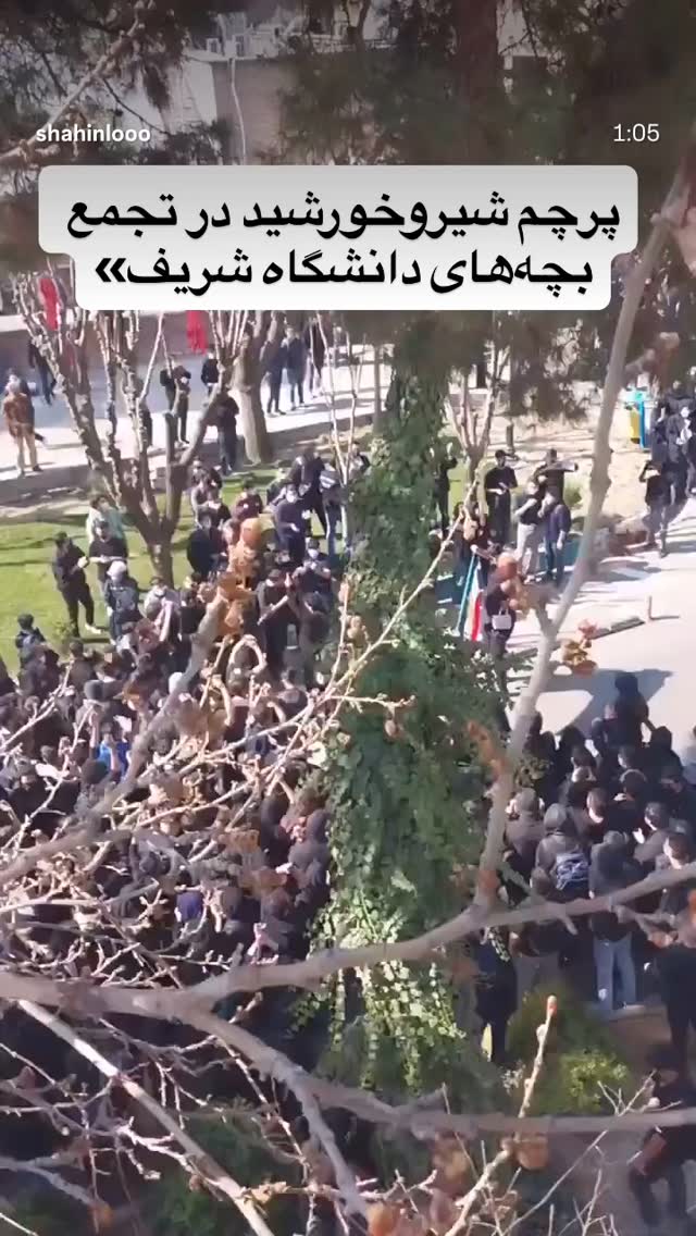  جدید ترین استوری اینستاگرام آسوده ایمر