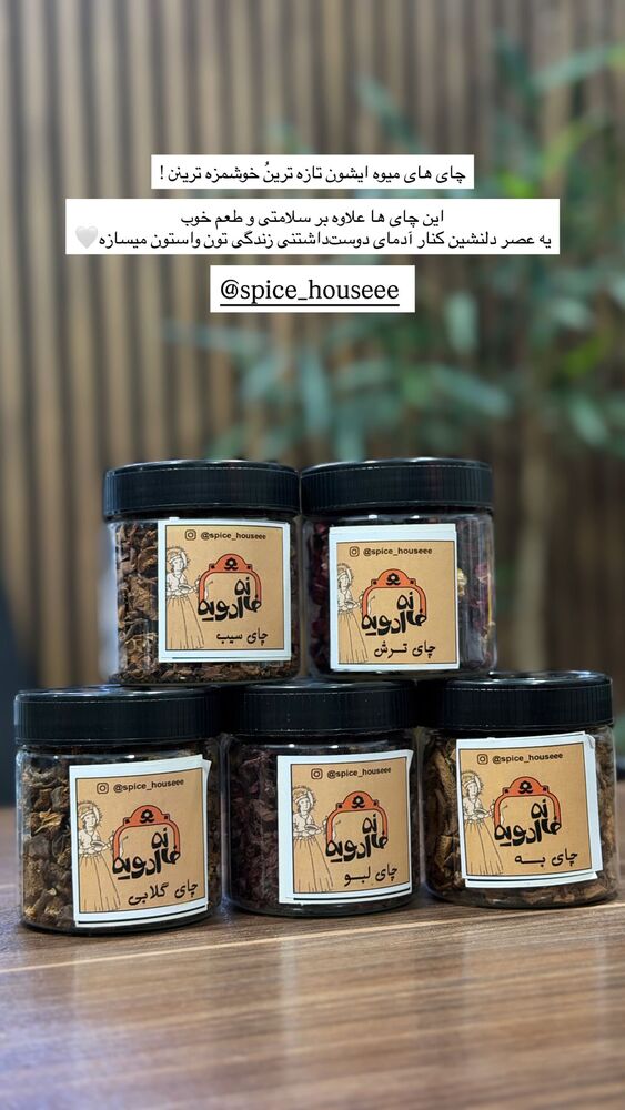  جدید ترین استوری اینستاگرام عاطفه خانزاده