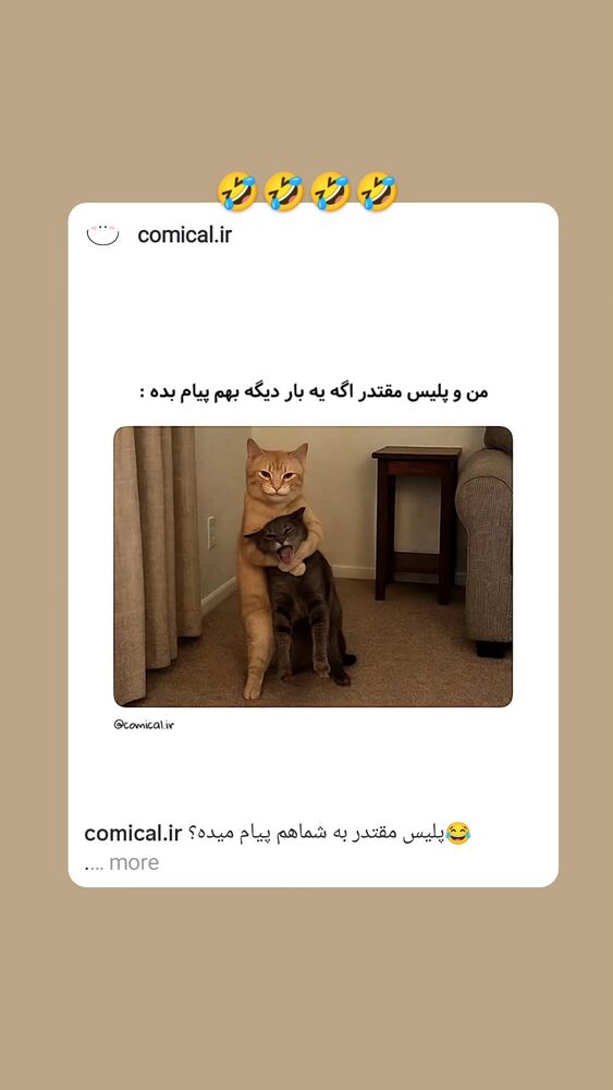  جدید ترین استوری اینستاگرام عاطفه فتوحی