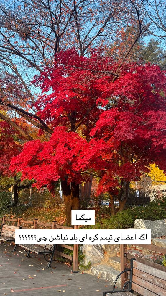  جدید ترین استوری اینستاگرام عطیه جلیلوند