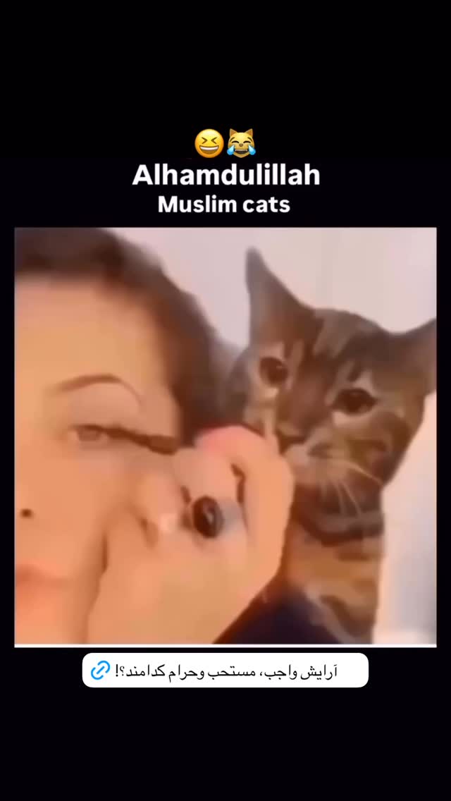  جدید ترین استوری اینستاگرام آیه مدیا