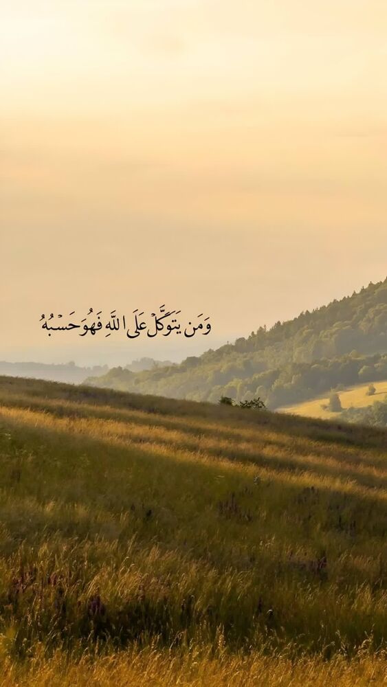  جدید ترین استوری اینستاگرام آیه مدیا