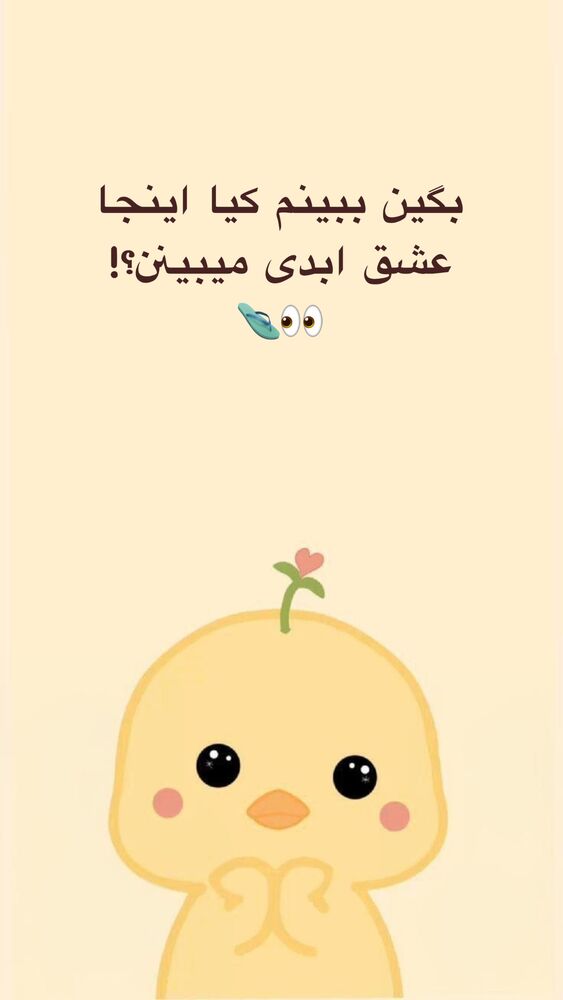  جدید ترین استوری اینستاگرام آیه کوچ