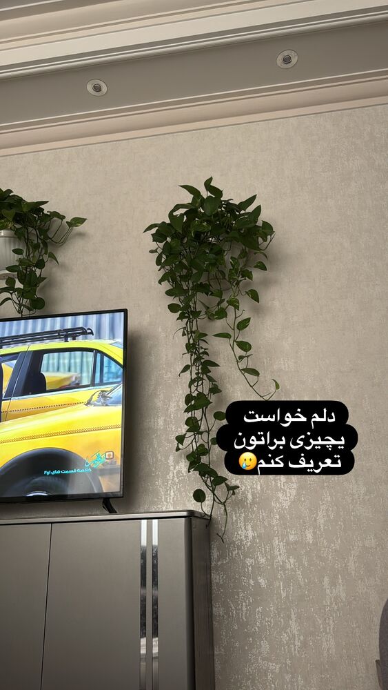  جدید ترین استوری اینستاگرام آیه کوچ