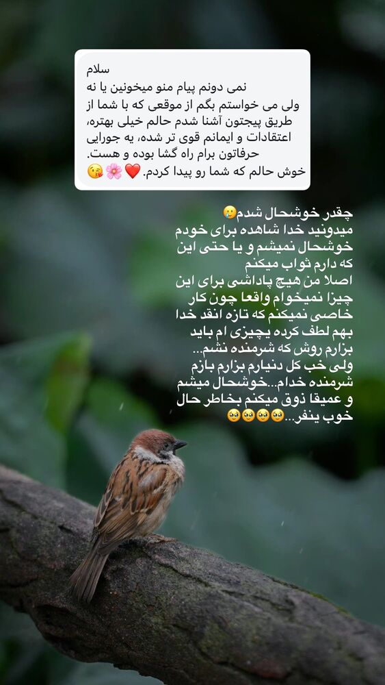  جدید ترین استوری اینستاگرام آیه کوچ