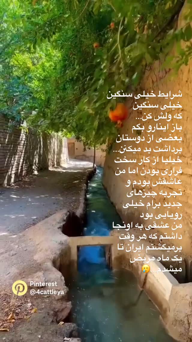  جدید ترین استوری اینستاگرام آیه کوچ