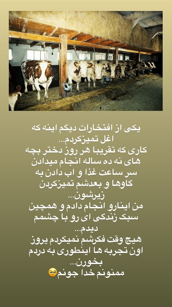  جدید ترین استوری اینستاگرام آیه کوچ