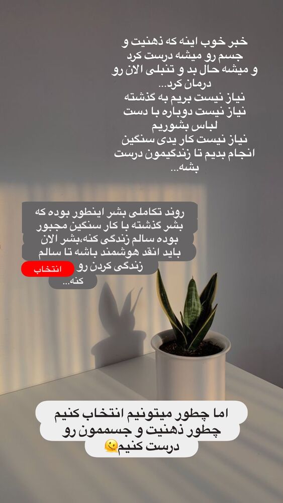  جدید ترین استوری اینستاگرام آیه کوچ