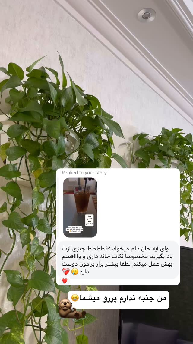 جدید ترین استوری اینستاگرام آیه کوچ