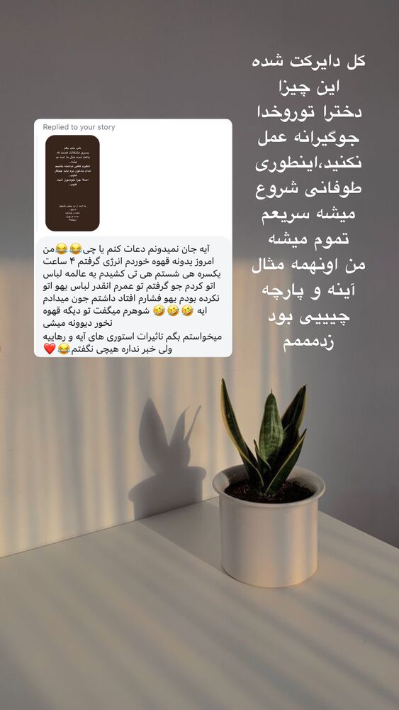  جدید ترین استوری اینستاگرام آیه کوچ