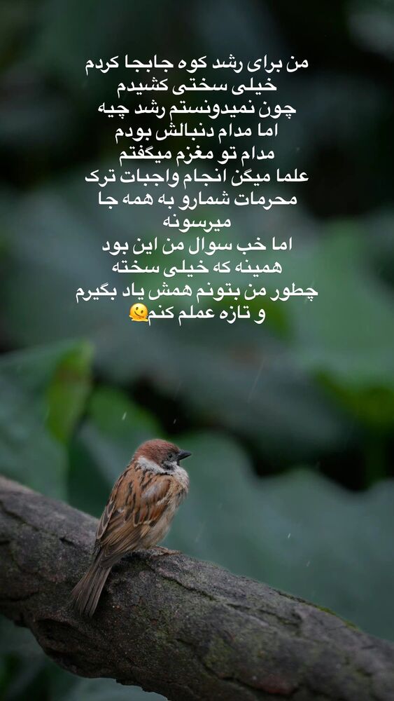  جدید ترین استوری اینستاگرام آیه کوچ