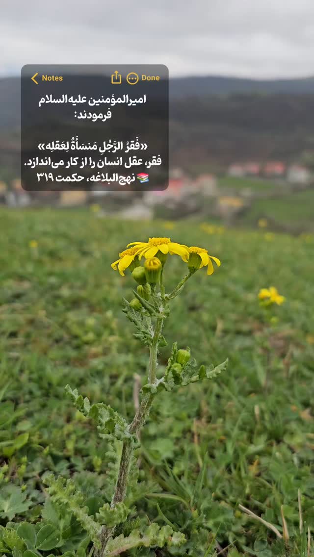  جدید ترین استوری اینستاگرام آیه کوچ