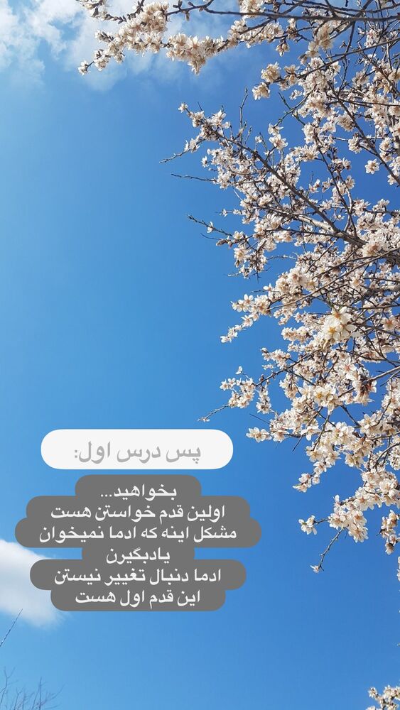  جدید ترین استوری اینستاگرام آیه کوچ