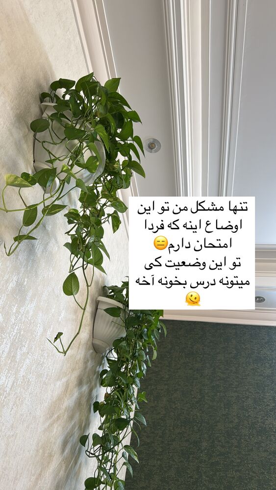 جدید ترین استوری اینستاگرام آیه کوچ