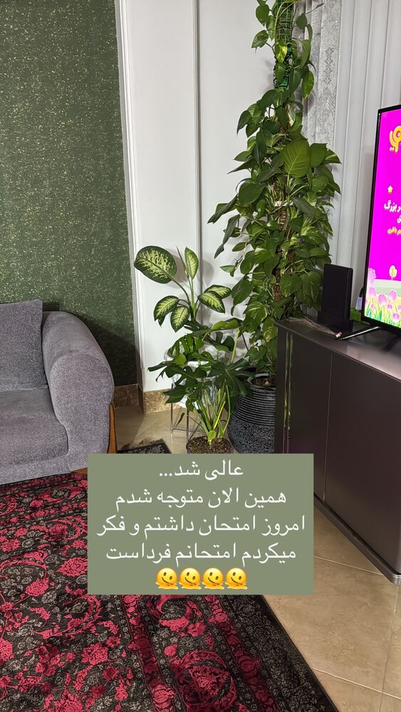  جدید ترین استوری اینستاگرام آیه کوچ