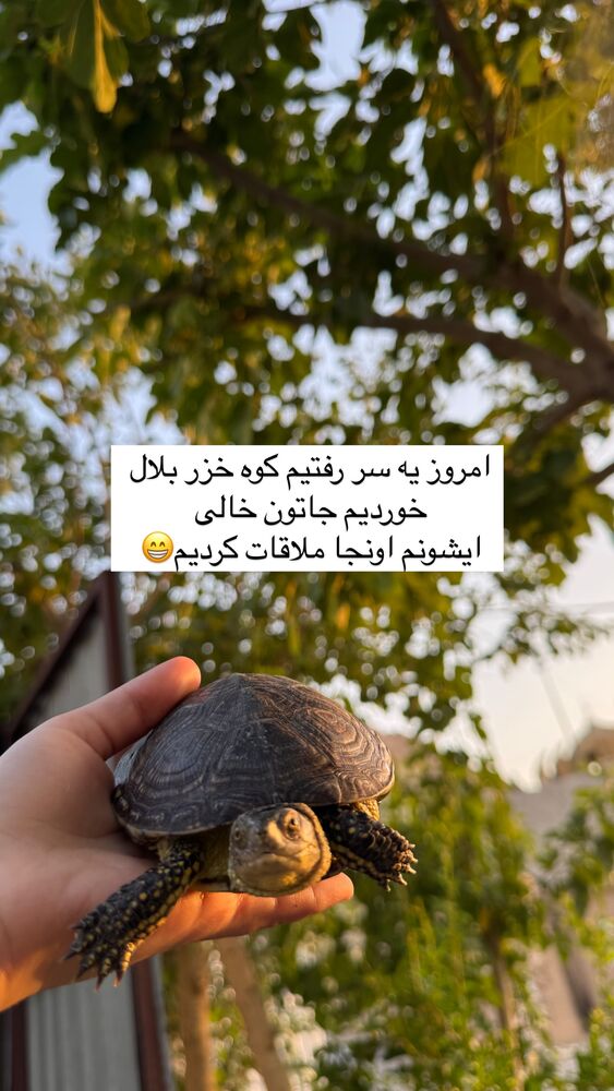  جدید ترین استوری اینستاگرام آیه کوچ