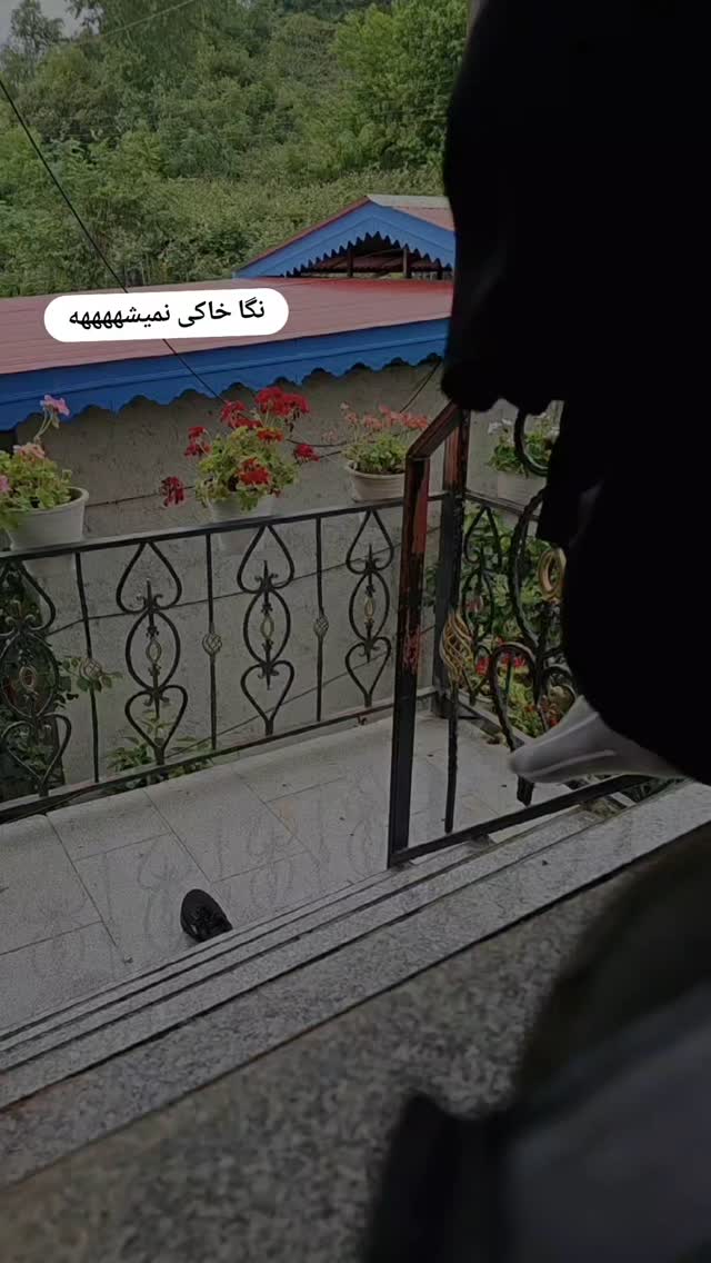  جدید ترین استوری اینستاگرام آیه کوچ