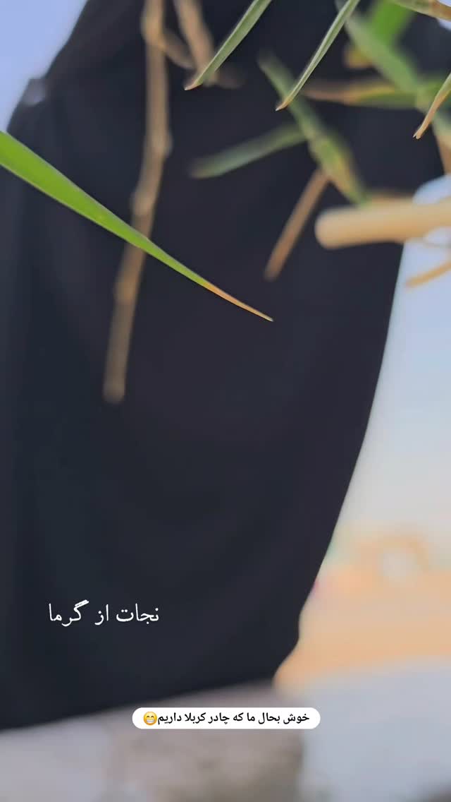  جدید ترین استوری اینستاگرام آیه کوچ