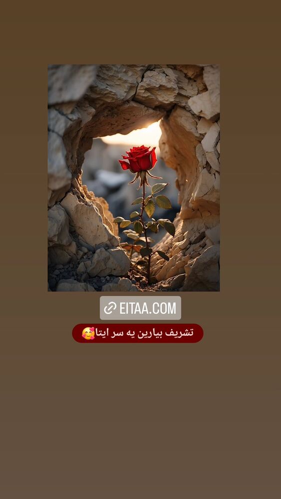  جدید ترین استوری اینستاگرام آیه کوچ
